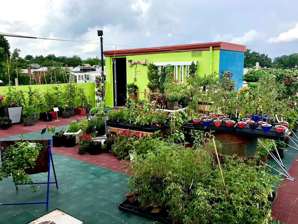 W.S. Jenks & Son in Washington, D.C. is now home to two urban farms.